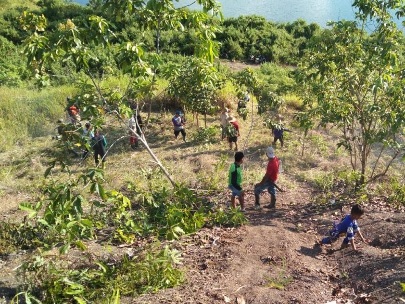 Jungle Tracking