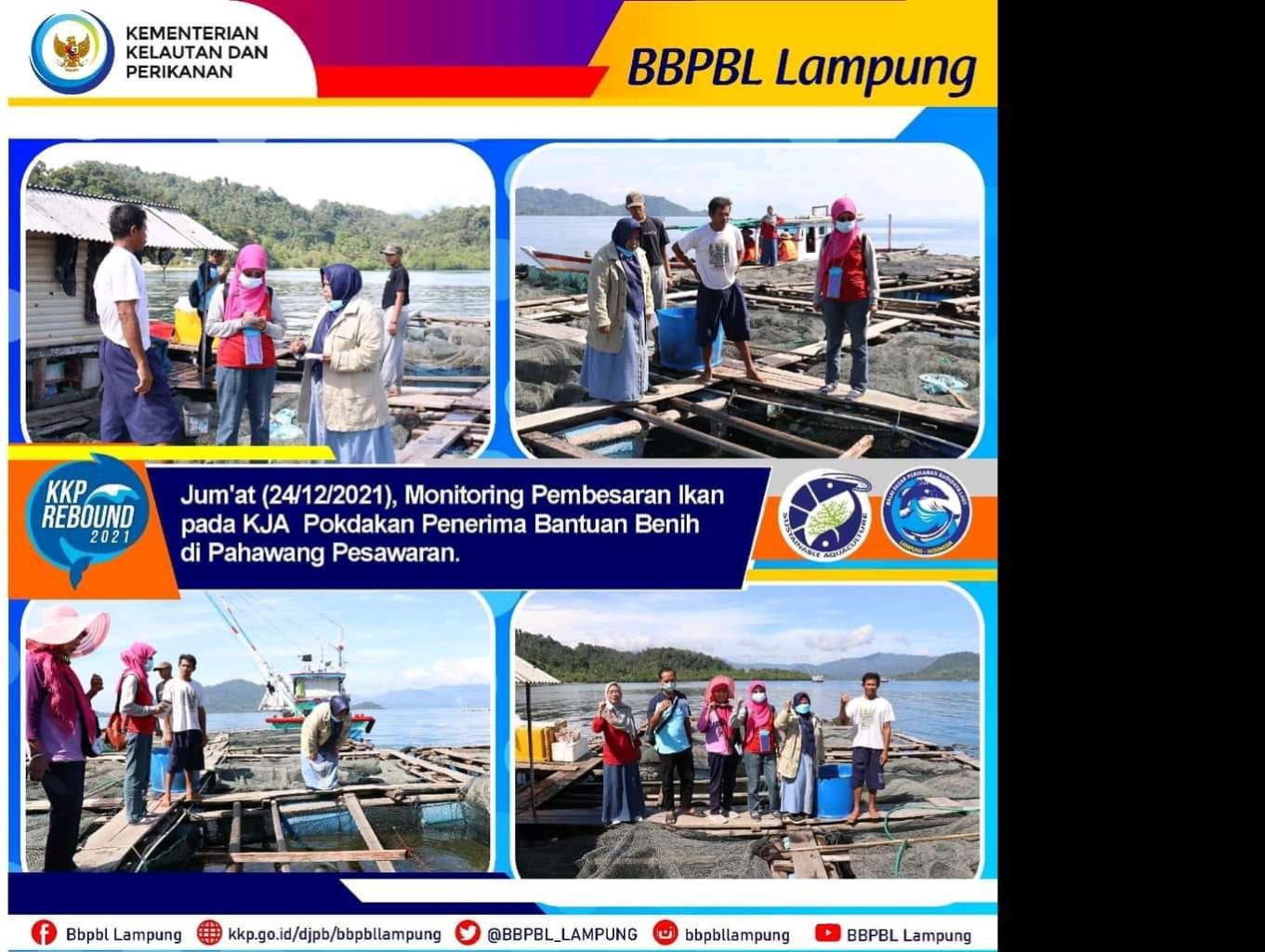 Budidaya Perikanan Desa Pulau Pahawang