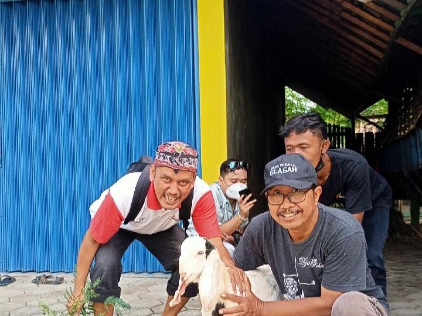 Paket Edukasi Di Kandang Kambing Etawa