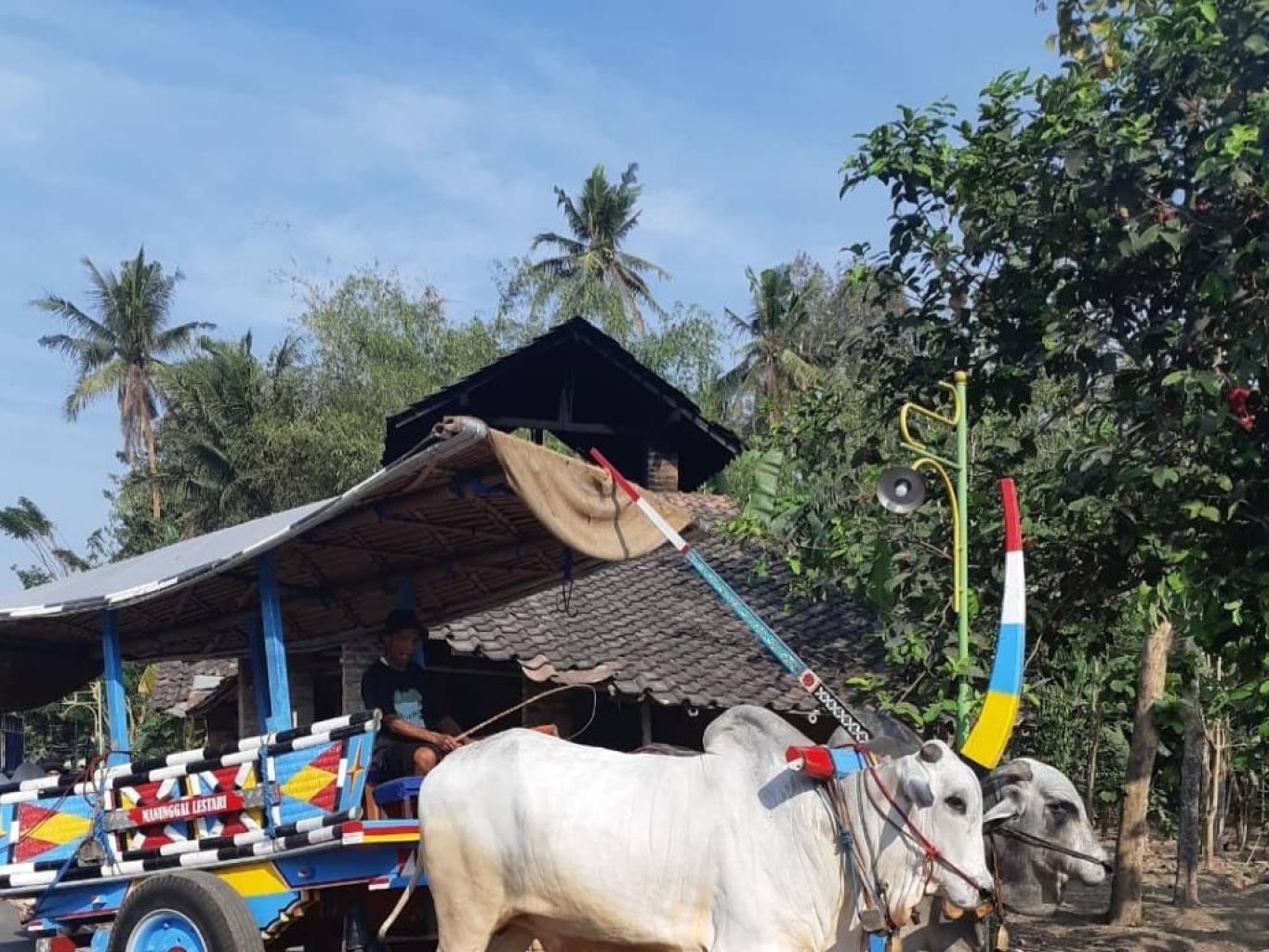 Paket Wisata Gerobak Sapi