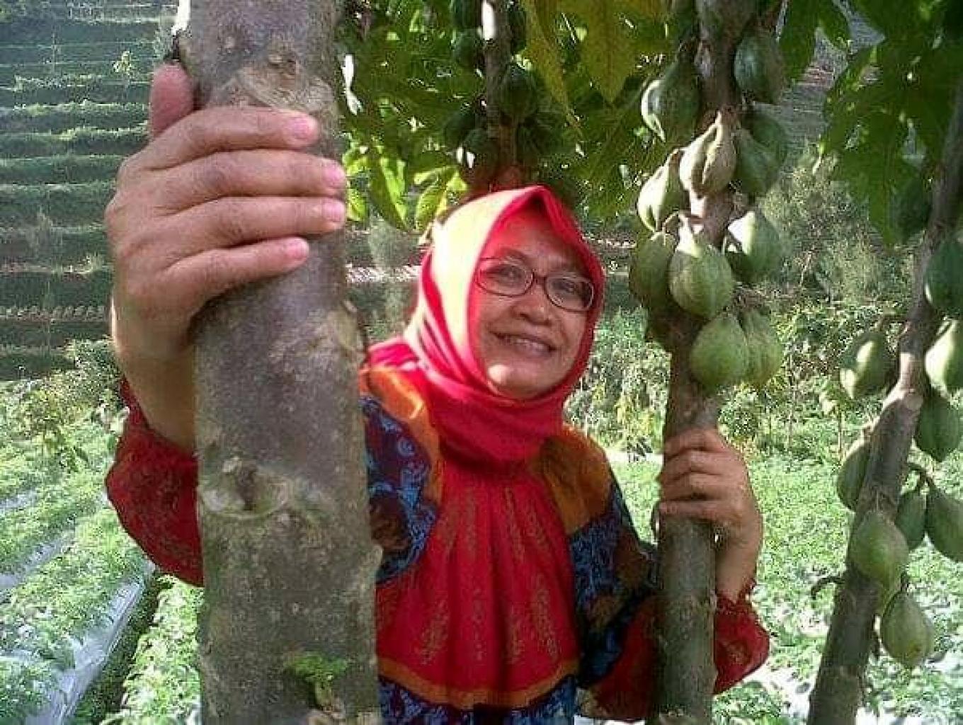 Petik Carica