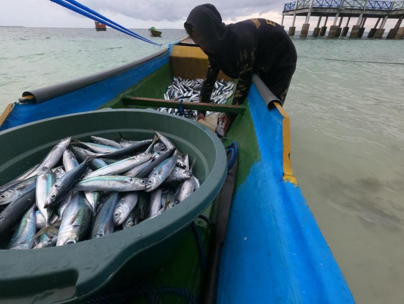 Ikan Segar