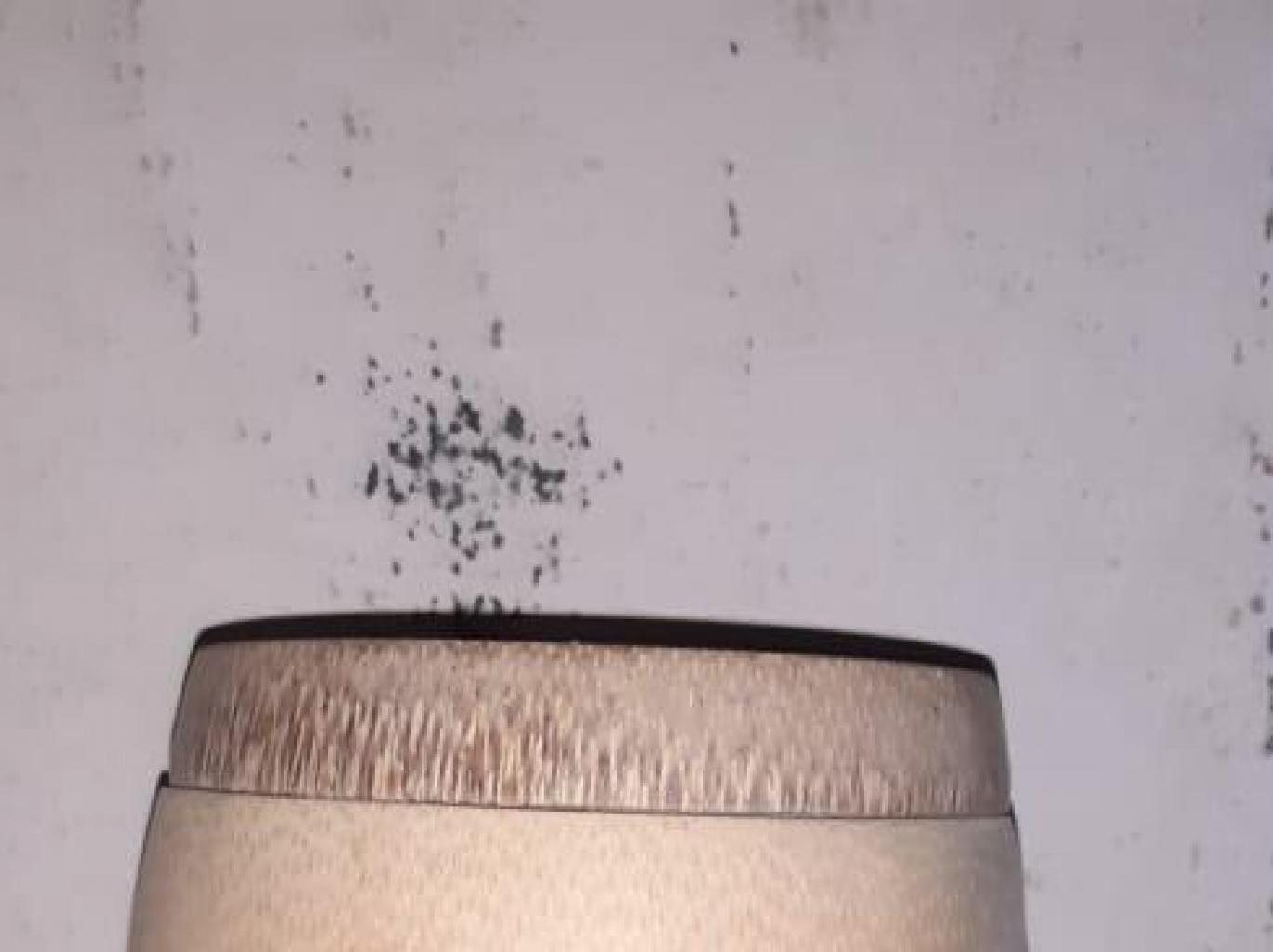 Bamboo Cup