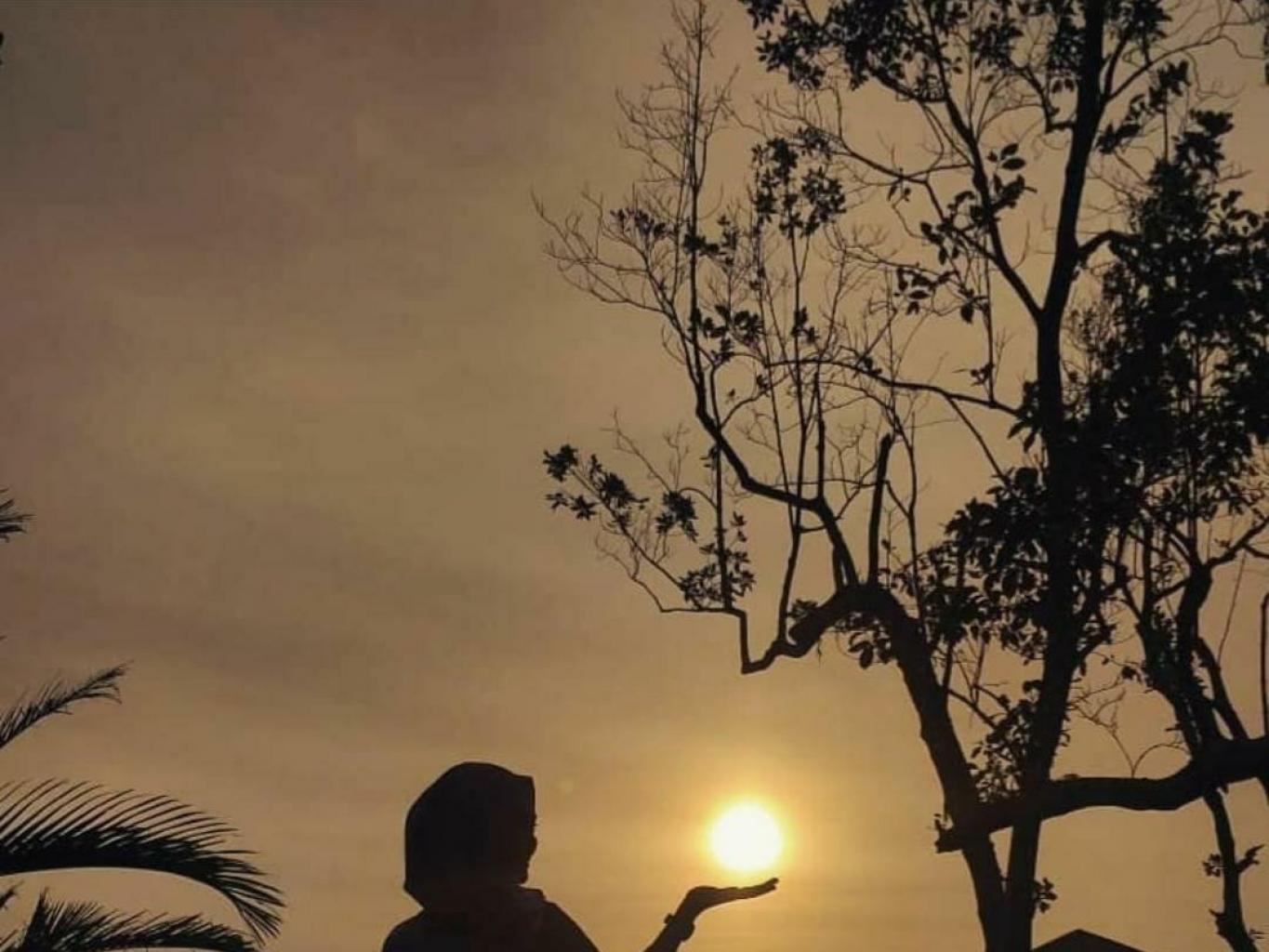 Atraksi Hutan Mangrove