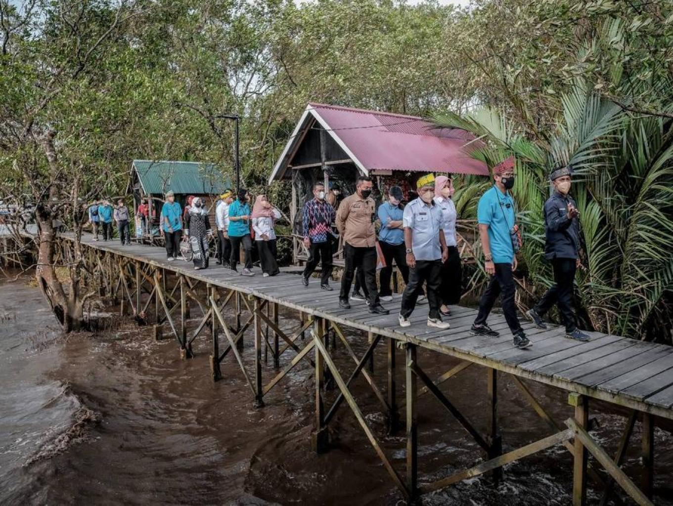Tracking Mangrove