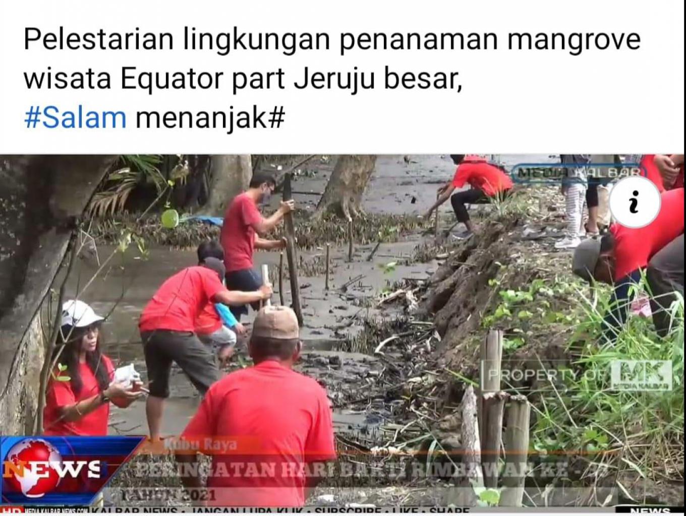 Penanaman Mangrove