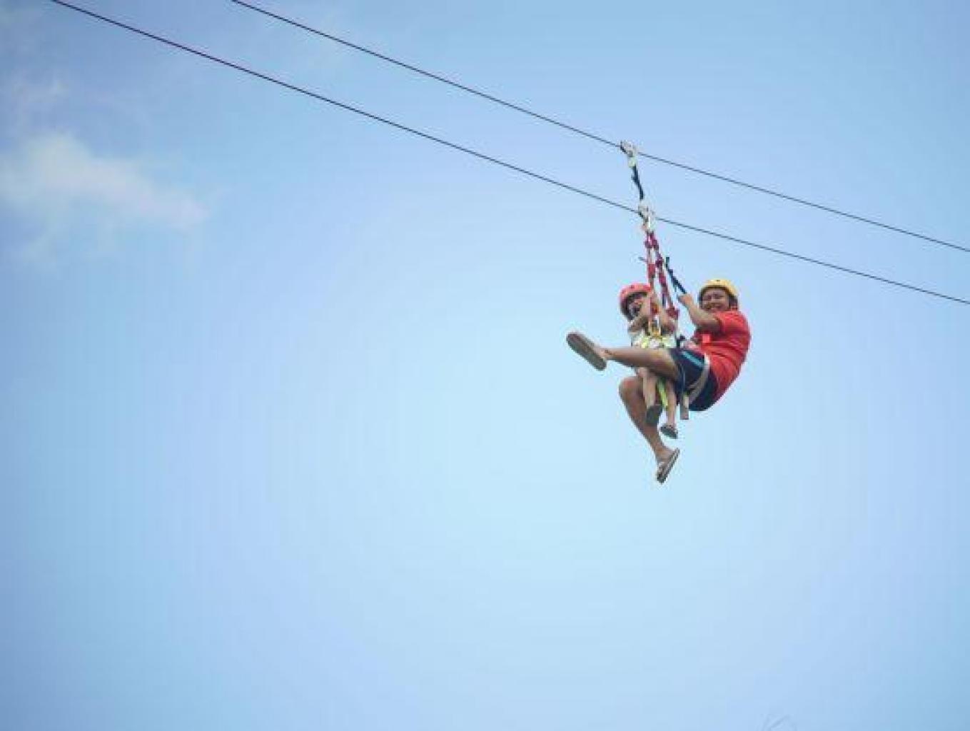 Flying Fox