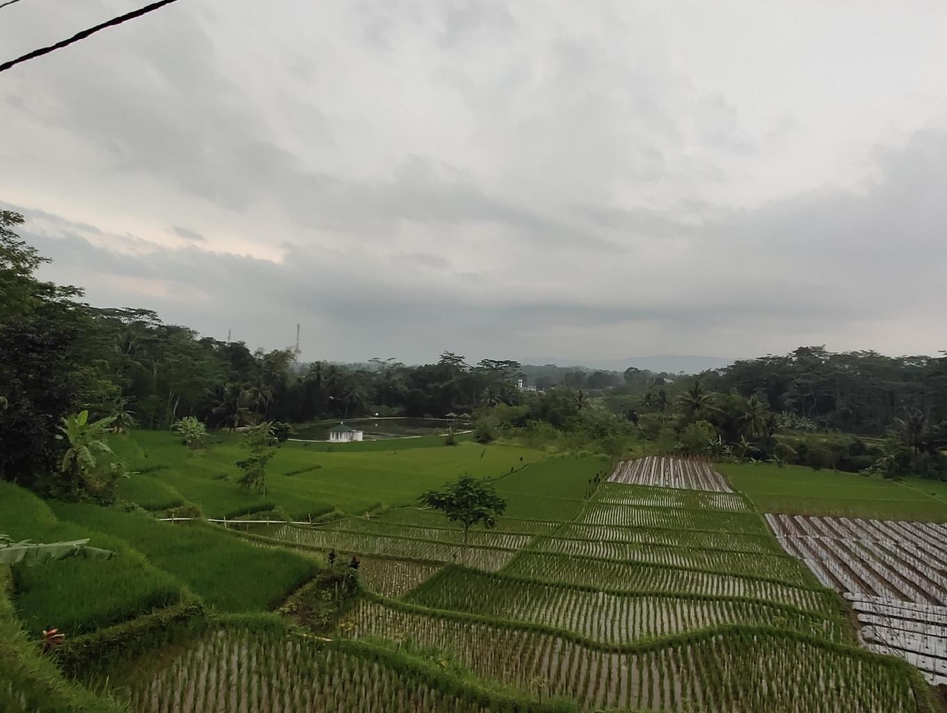 Agro Edukasi Pertanian