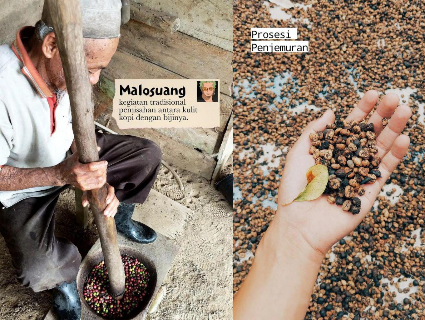 Malosuong