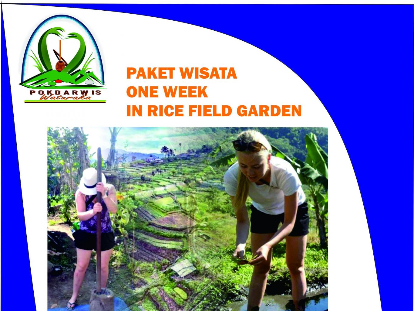 Tanam Padi Sawah