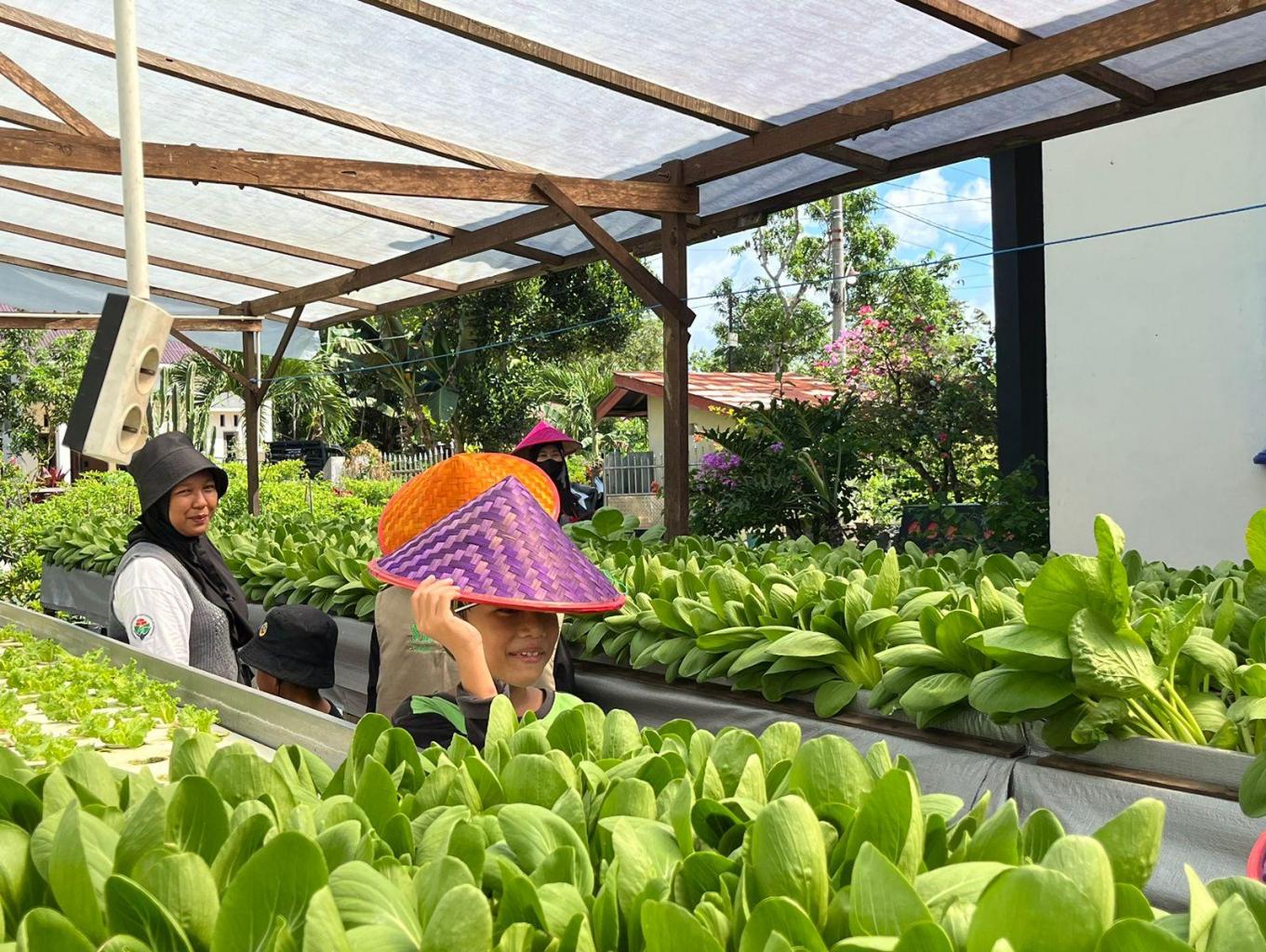Wisata Buah Dan Sayur Mayur