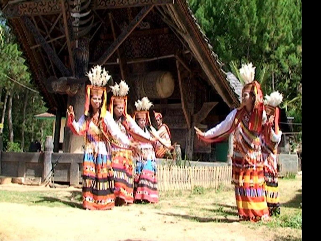 Tari Malluya
