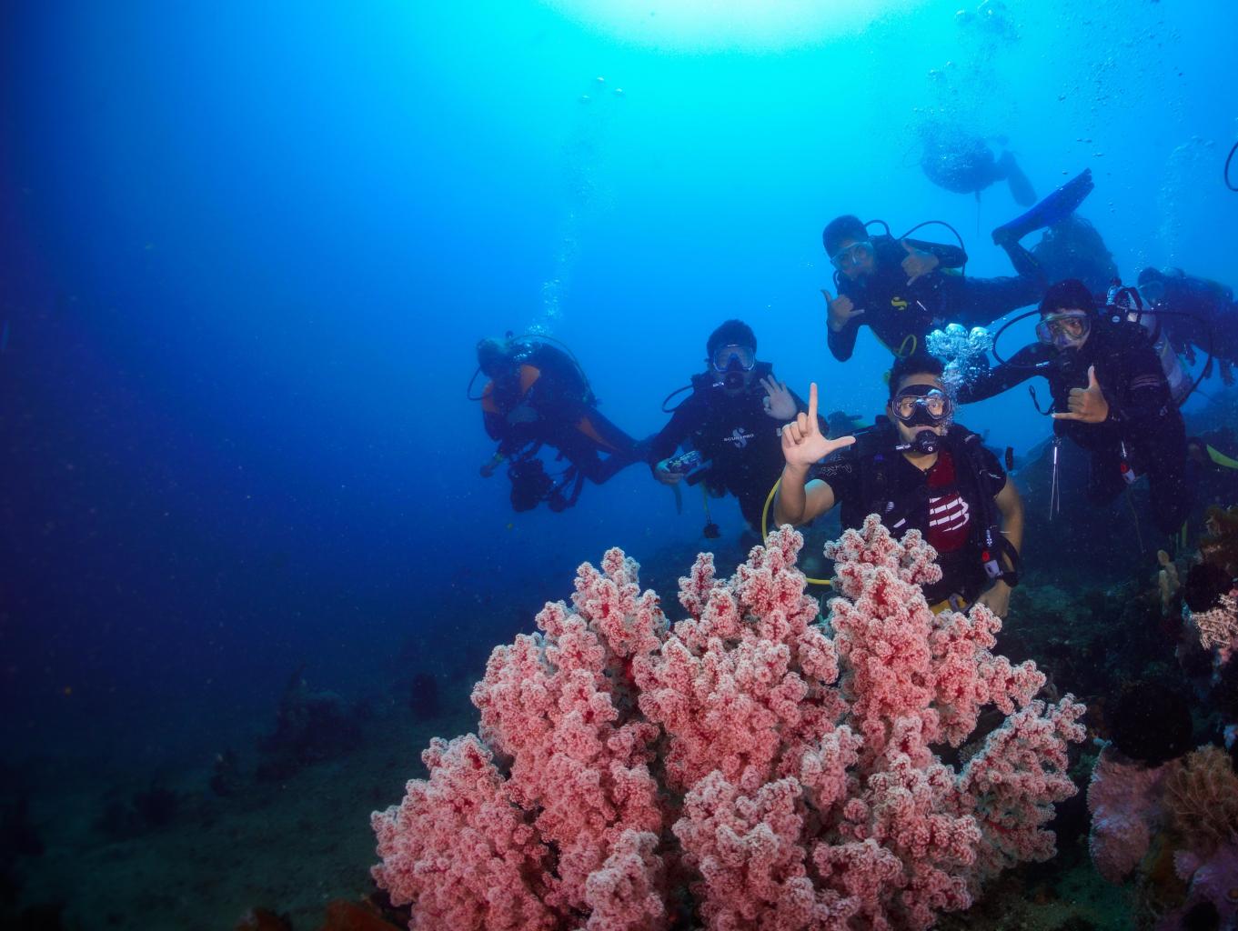 Diving Di Pulau Sarena