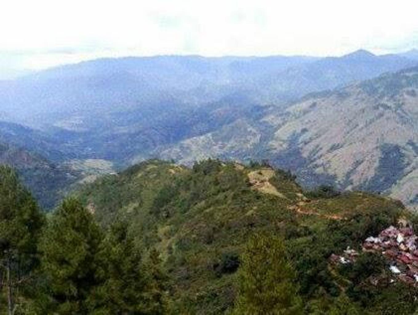 Bilolo