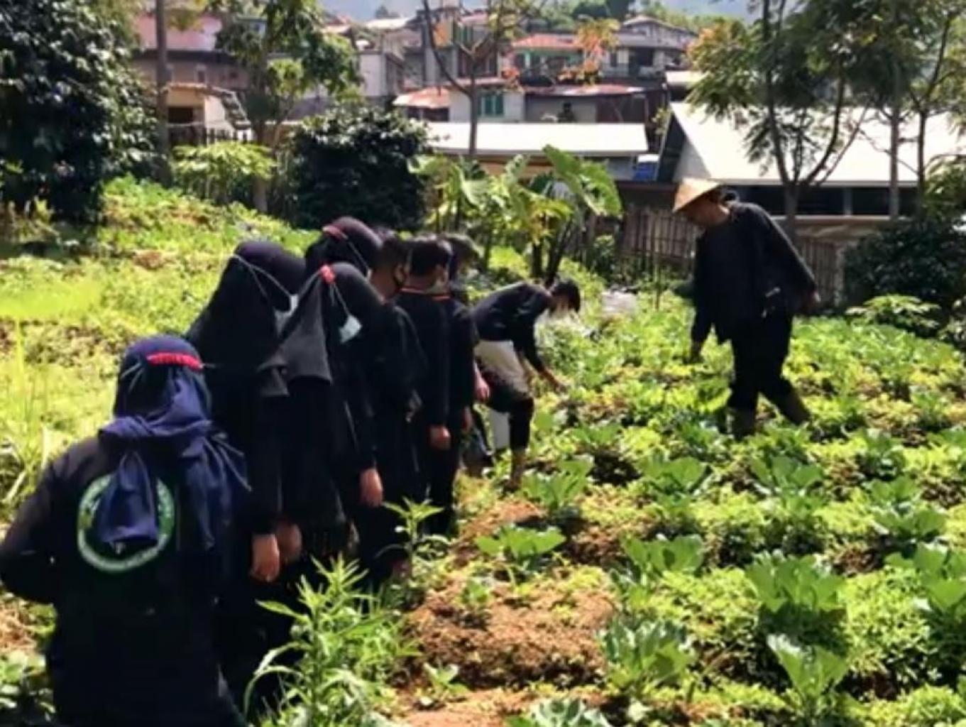 Wisata Edukasi Pertanian