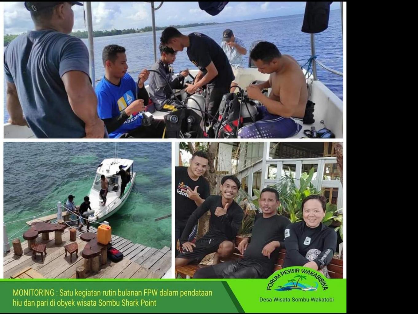 Monitoring Hiu Dan Pari