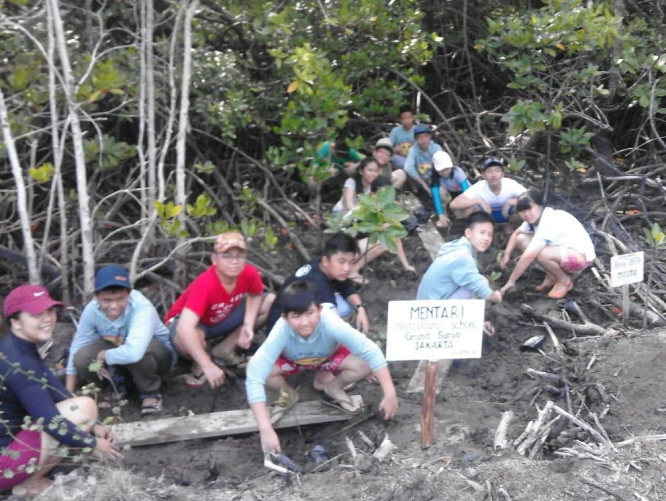 Tanam Mangrove