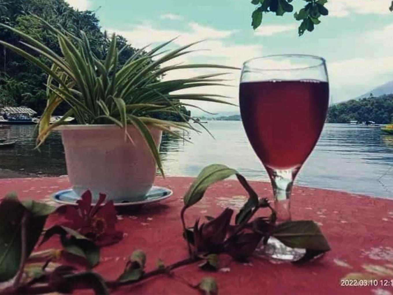 Sirup Dan Selai Rosela