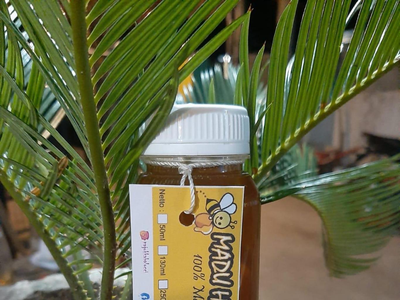 Madu Hutan Balocci