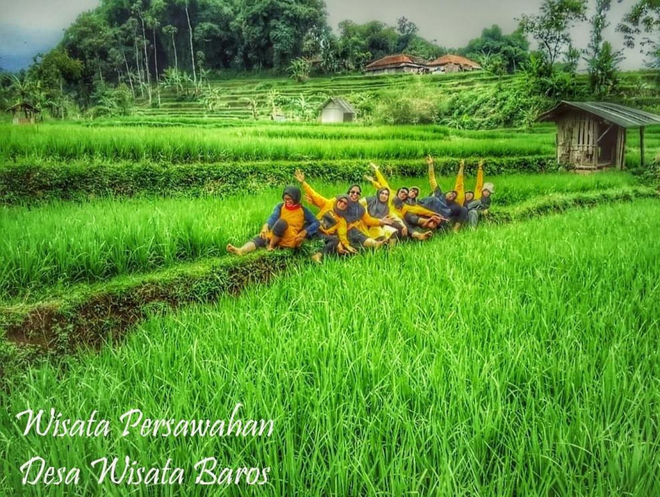 Wisata Persawahan