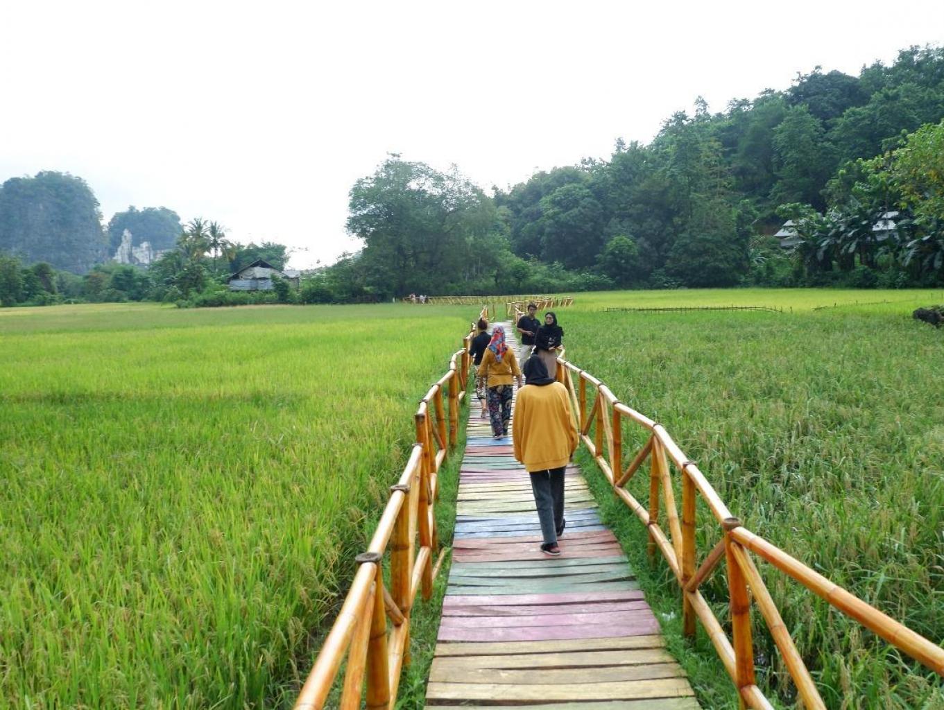Jalan Setapak Diatas Saluran Air Diapit Hamparan Sawah Dan Gunung Karst