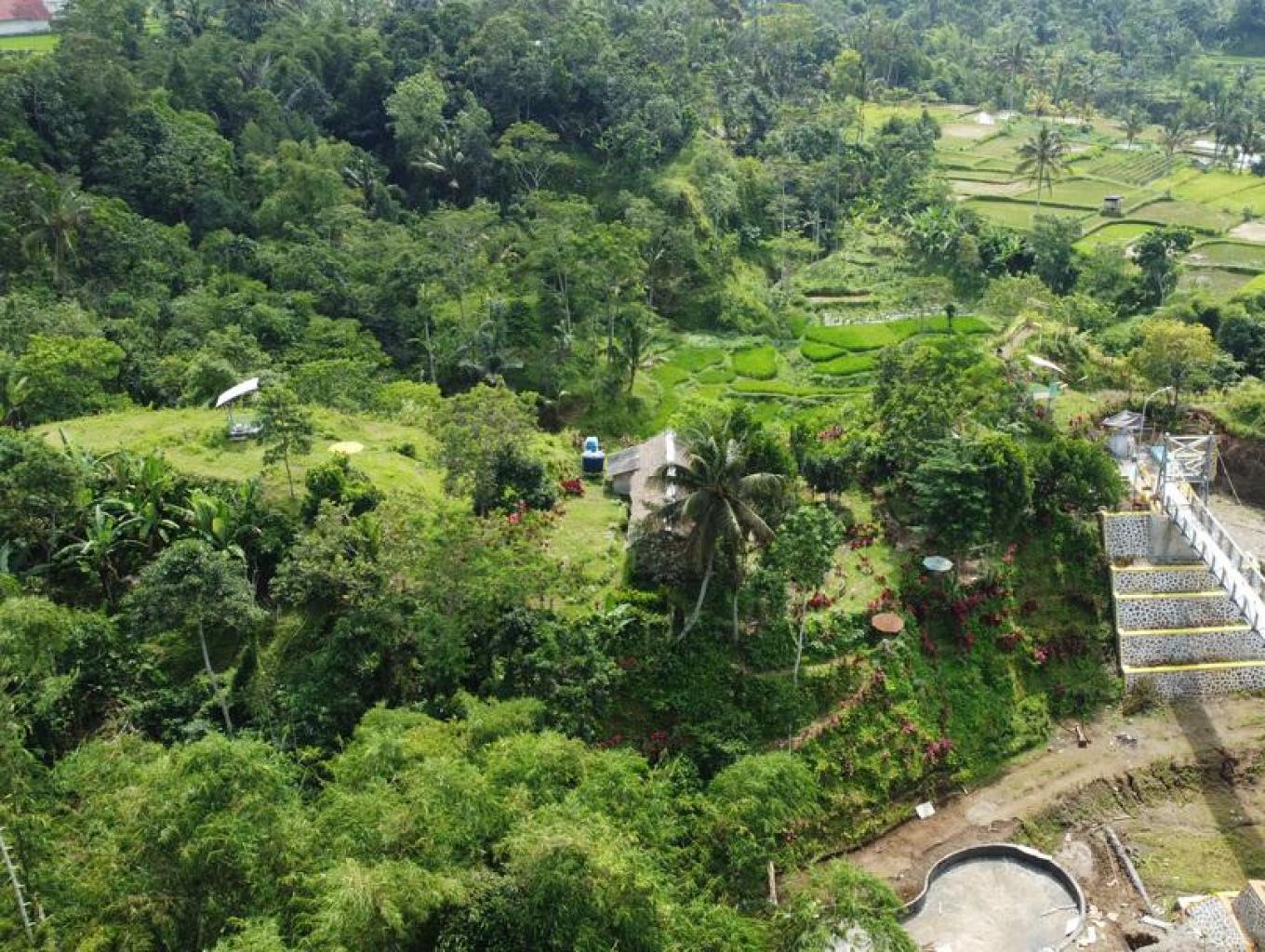 Flower Hill