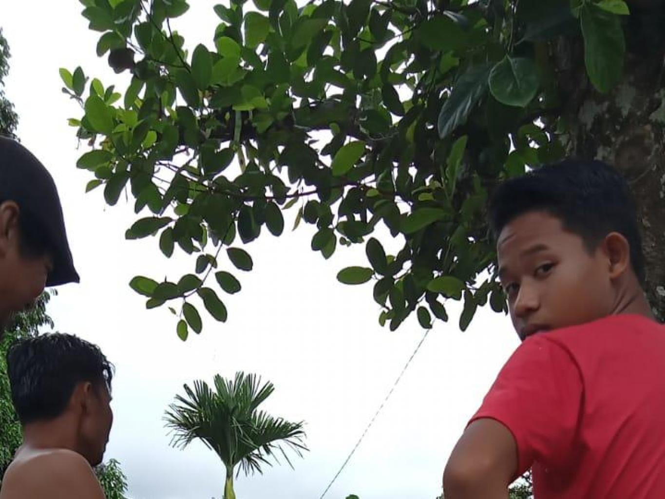 Maggasing