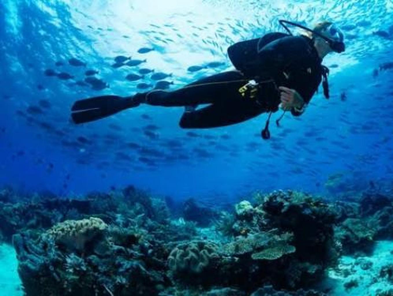 Diving