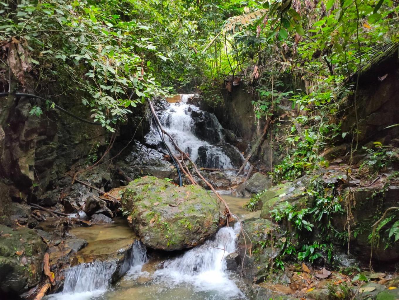 Air Terjun Sungai Pawua