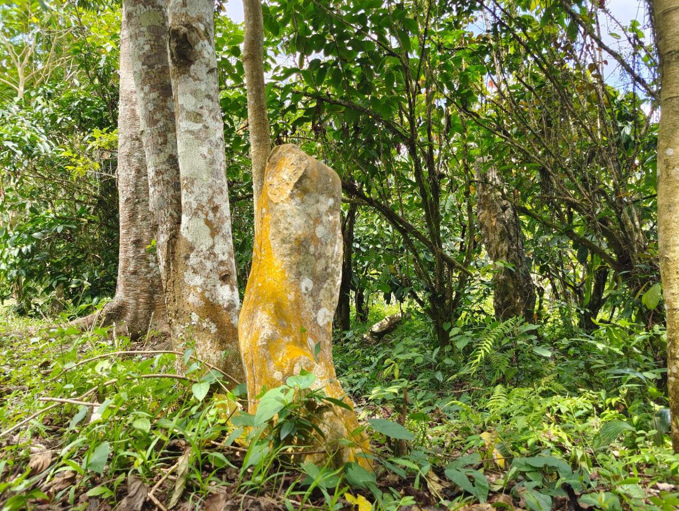 Simbuang Batu