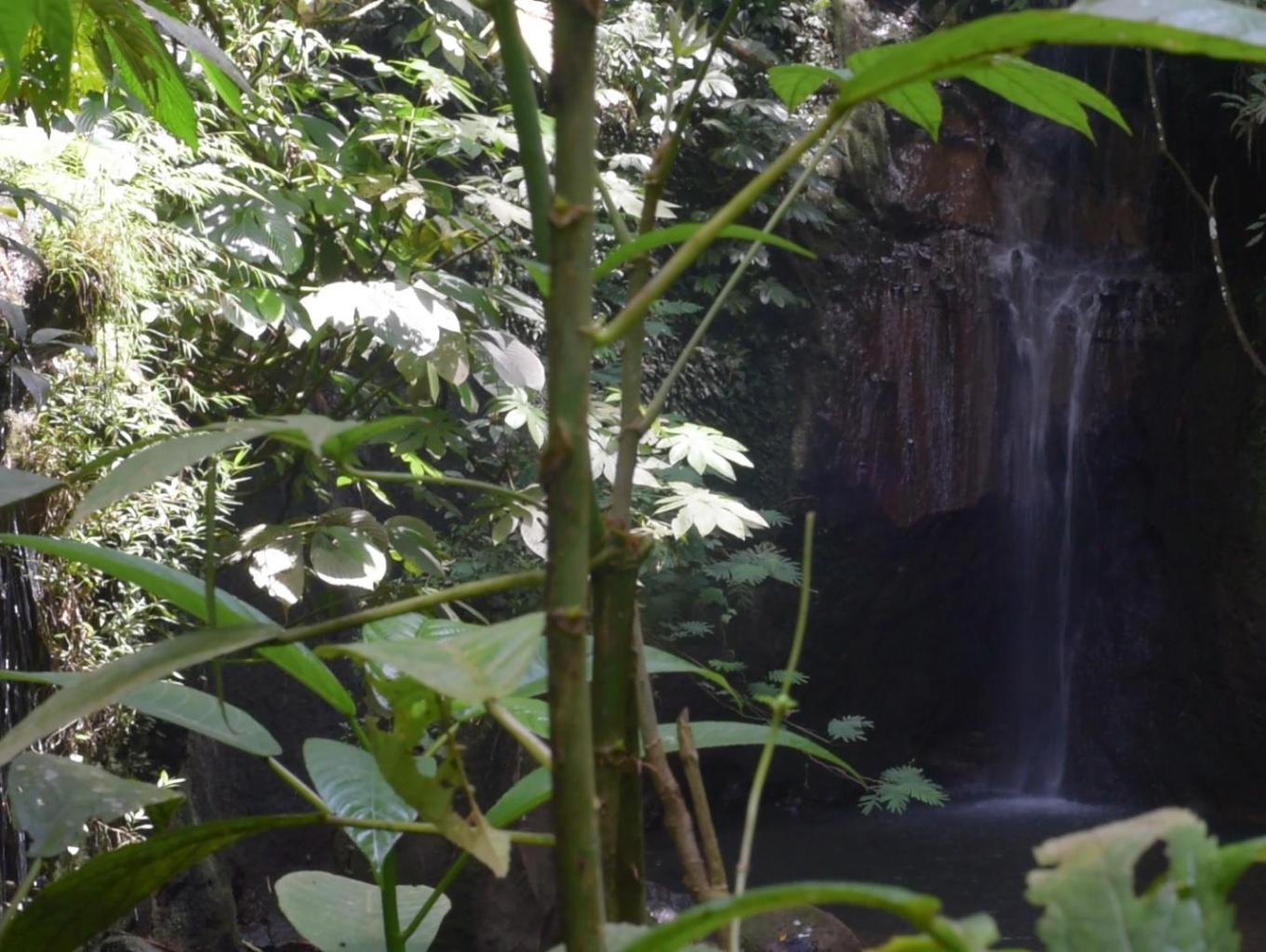 Air Terjun Tibu Bunter