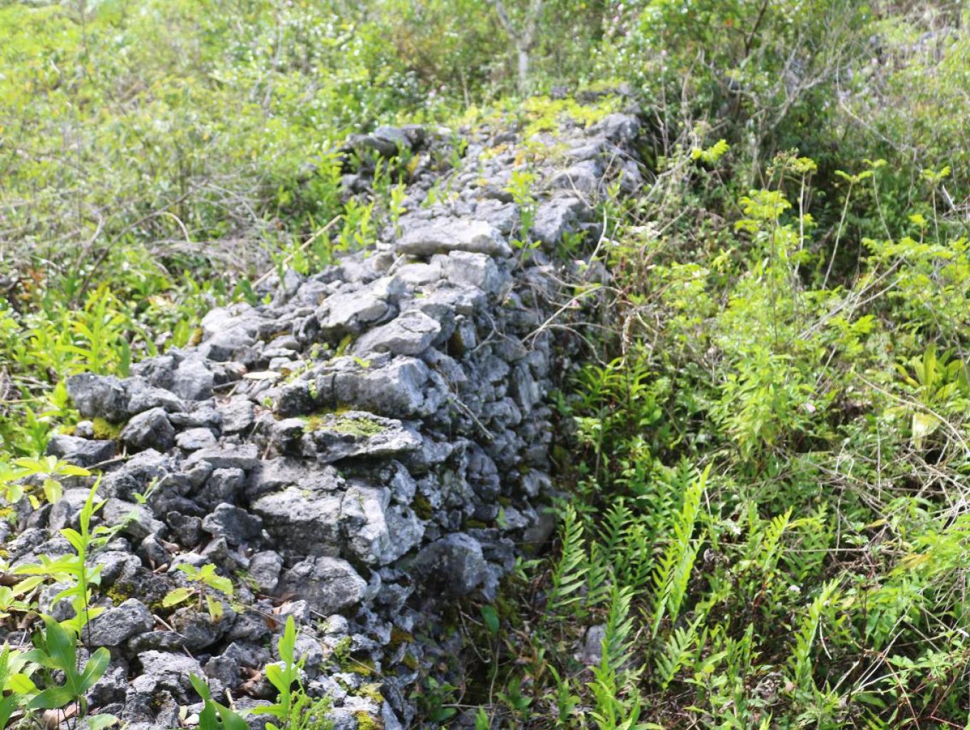 Balabatutonga