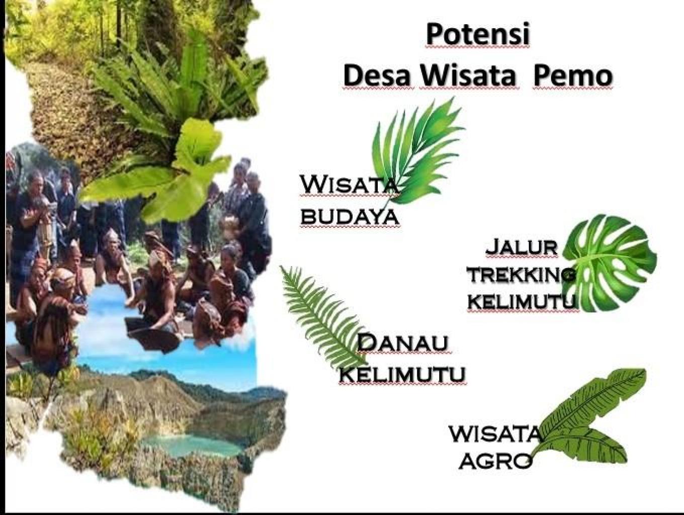 Pemo Kelimutu