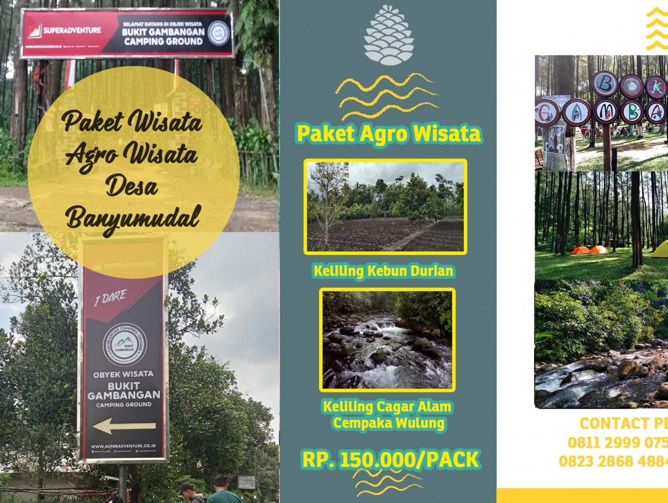 Paket Wisata Agro Wisata Kampoeng Teh Semugih