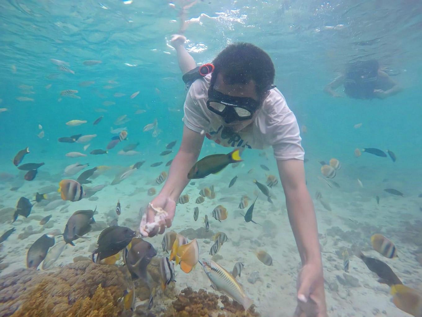 Snorkling Di Wilayah  Pulau Maringkik