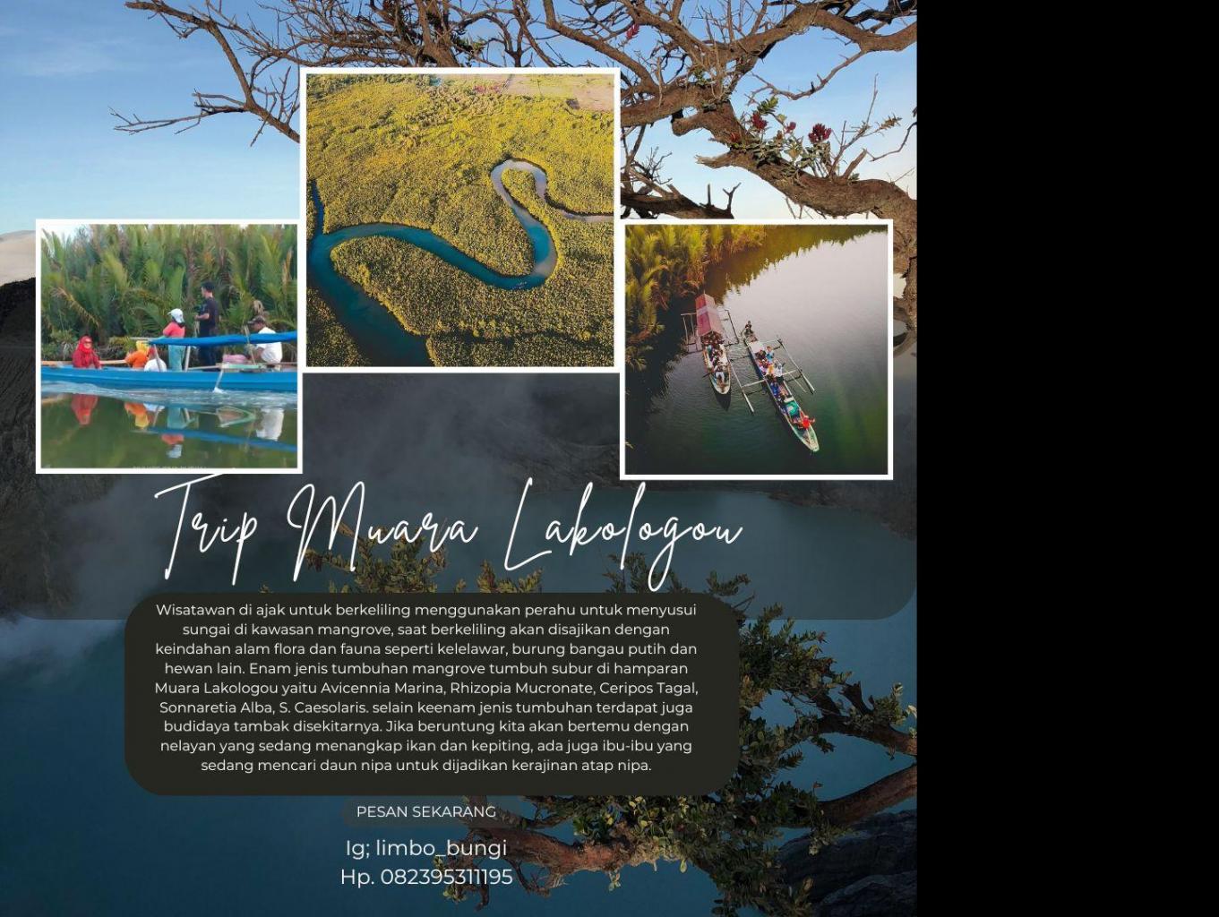 Perahu Wisata Mangrove