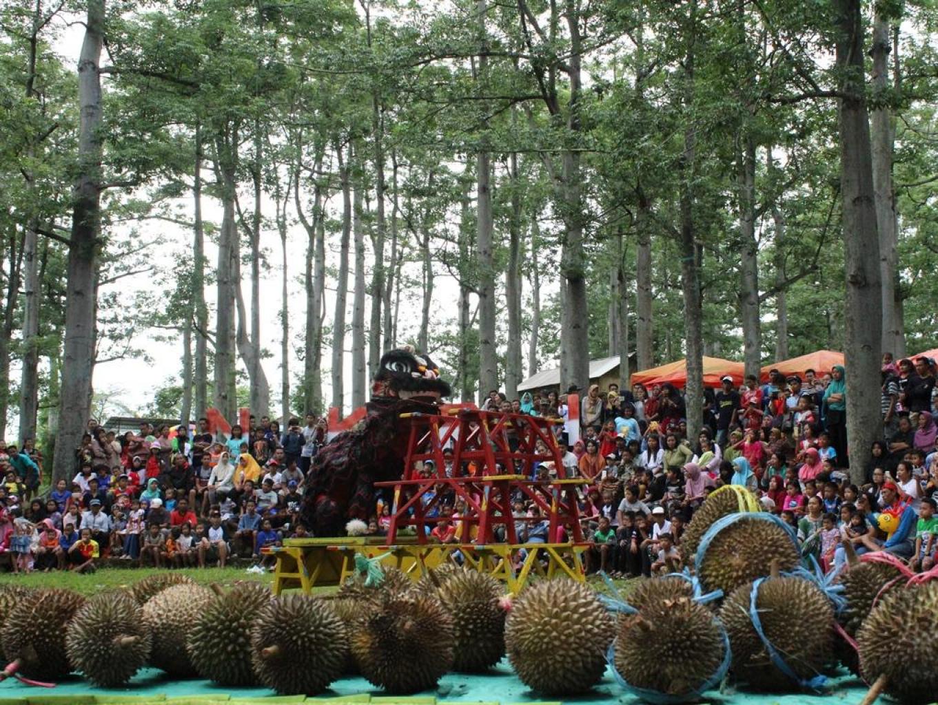 Festival Durian dan Etalase Budaya