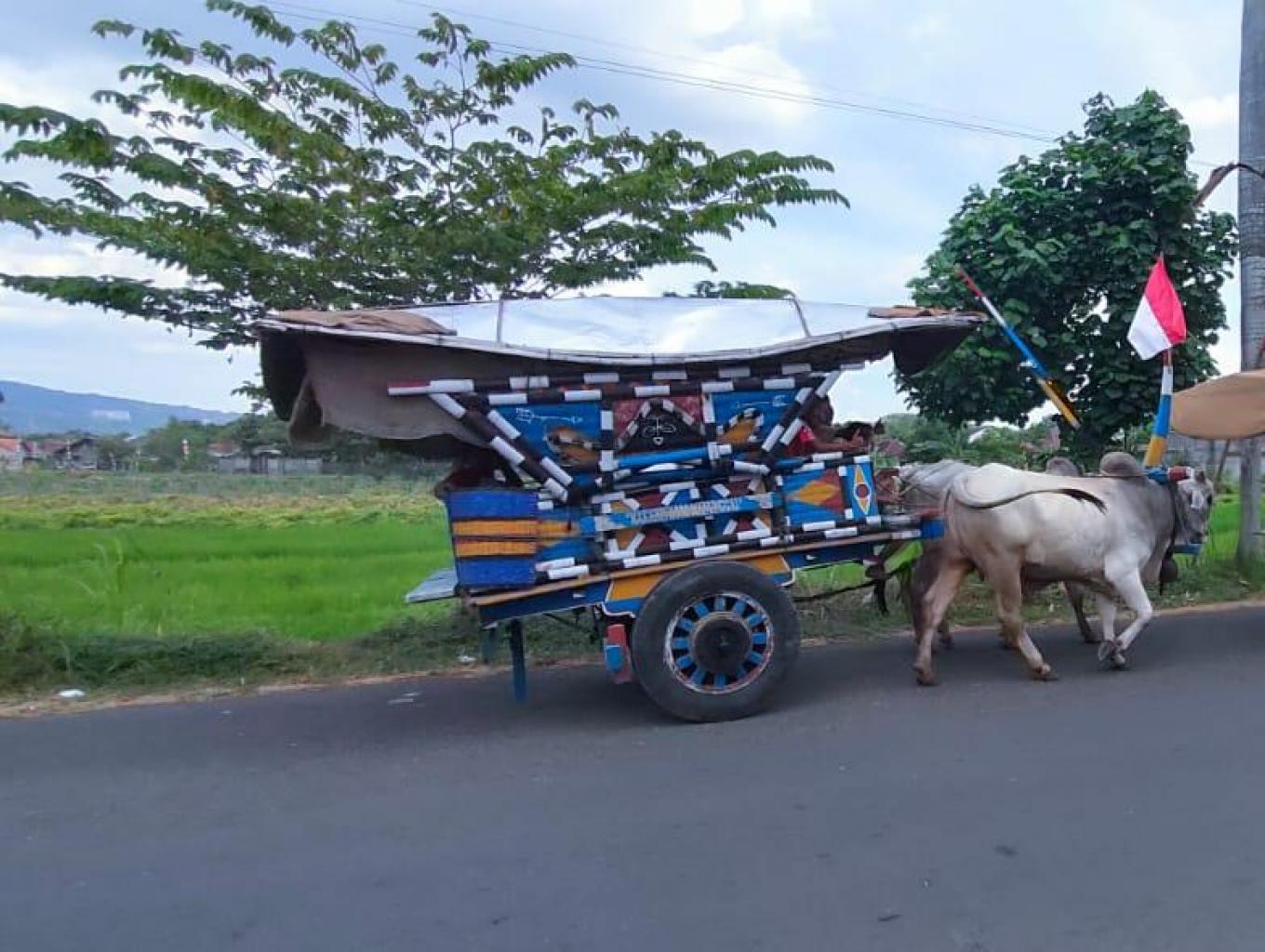 Tour Desa
