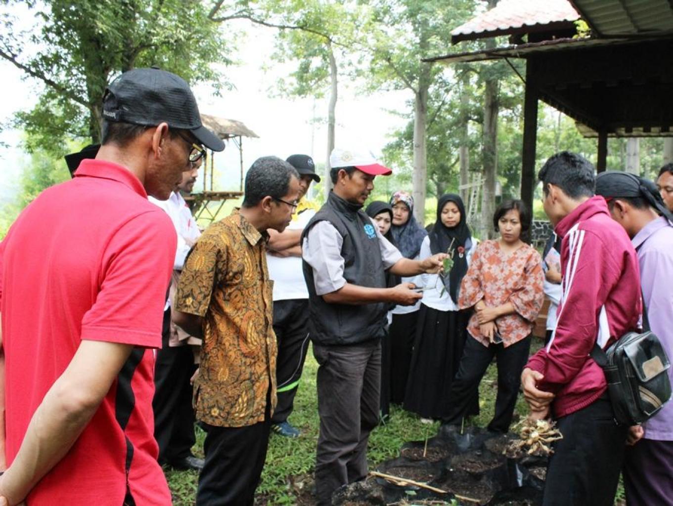 Edukasi Tanaman Toga