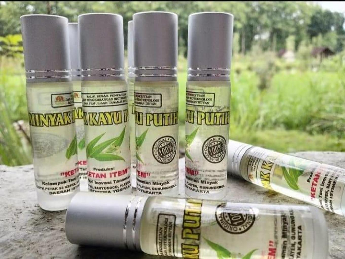 Penyulingan Minyak Kayu Putih