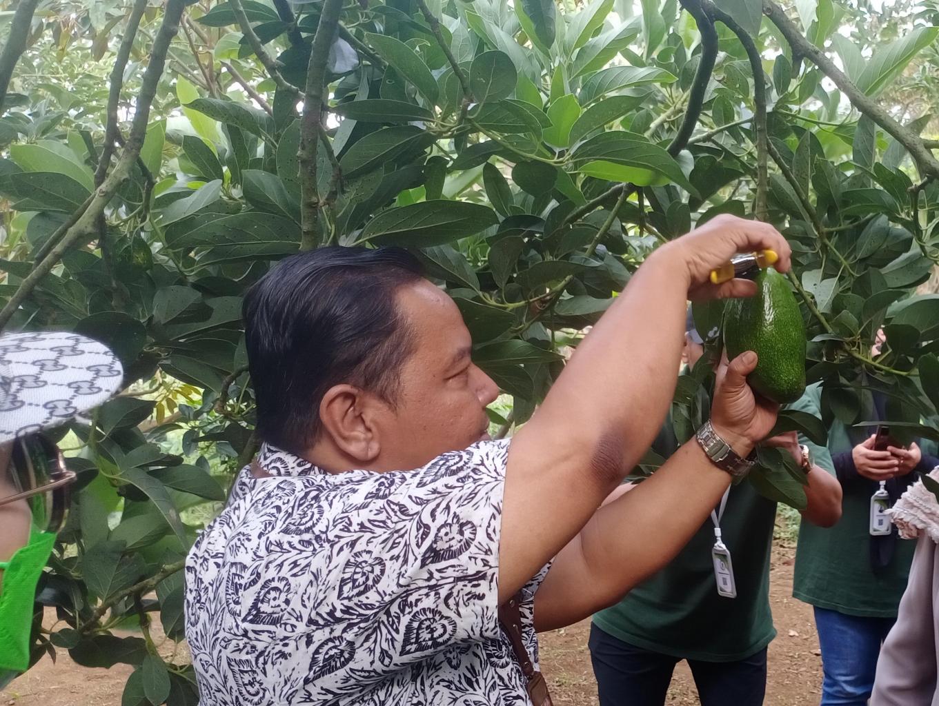 Avocado Education Center
