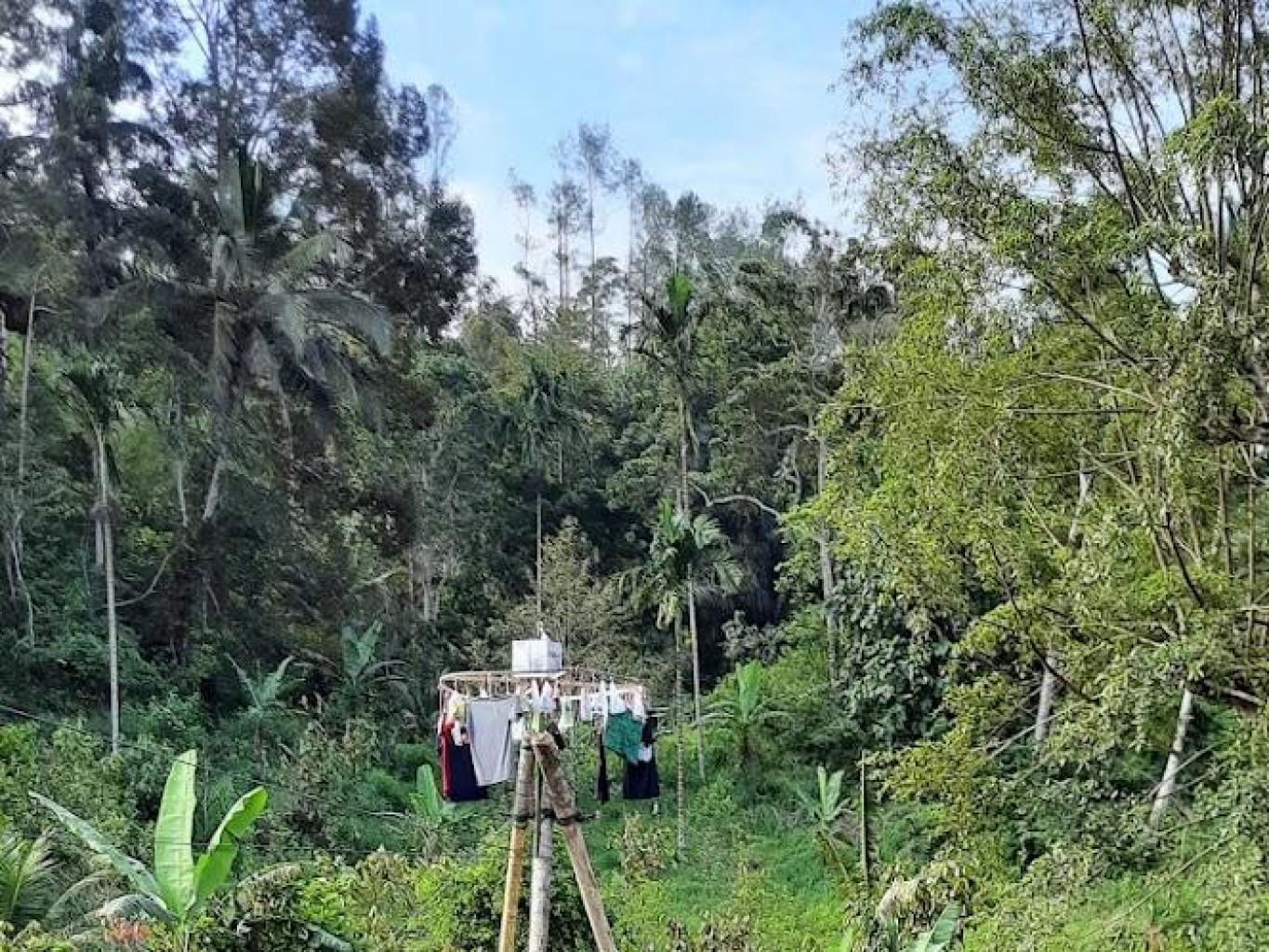 Panjat Pinang