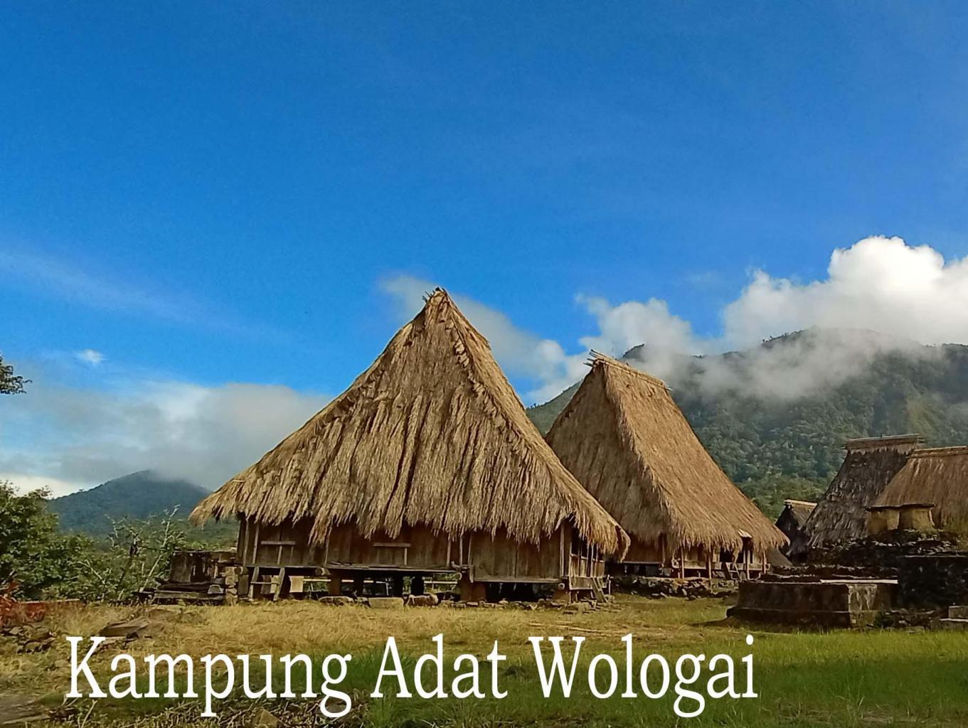 Kampung Adat Wologai