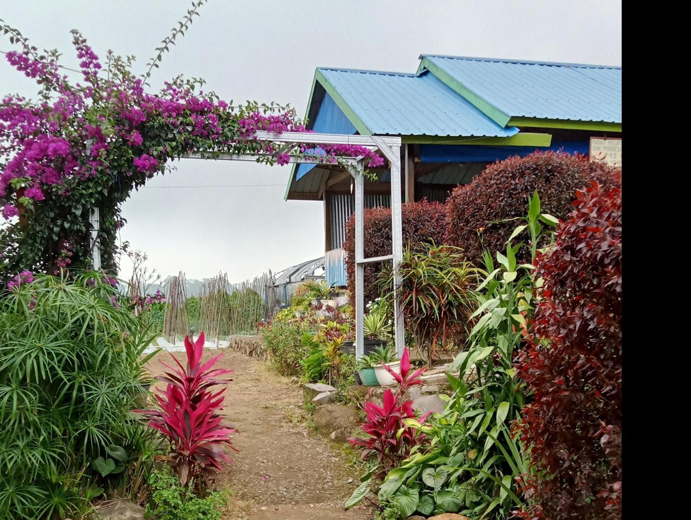 Pertanian Bontotiro