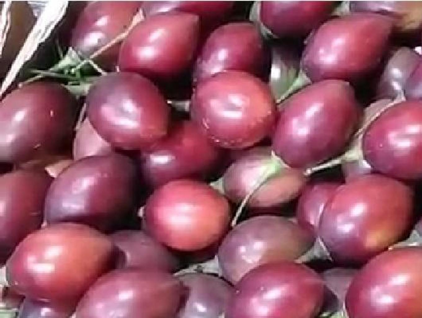 Terong Blanda In Sirup