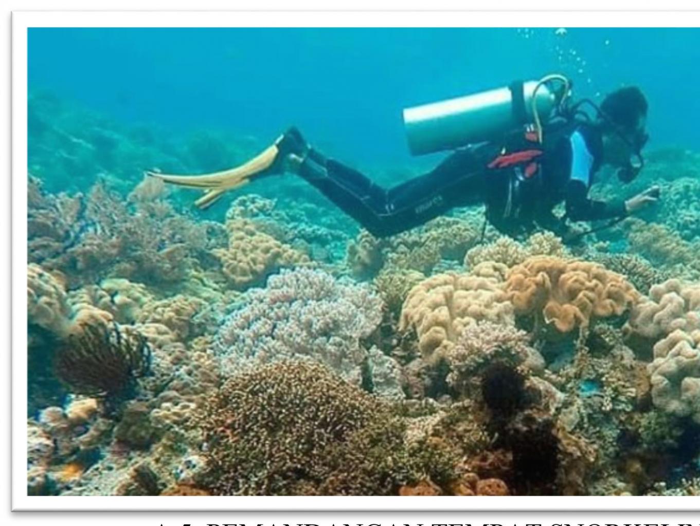 Diving/snorkling