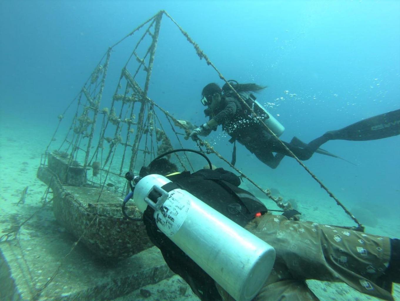 Wisata Bawah Laut