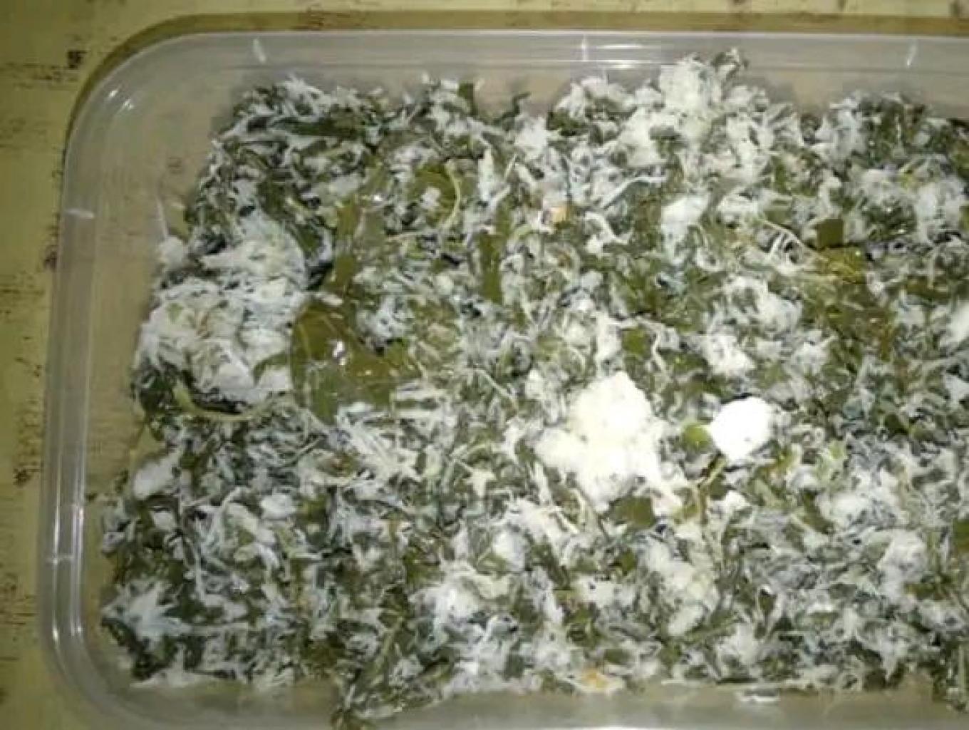 Lawara Daun Singkong