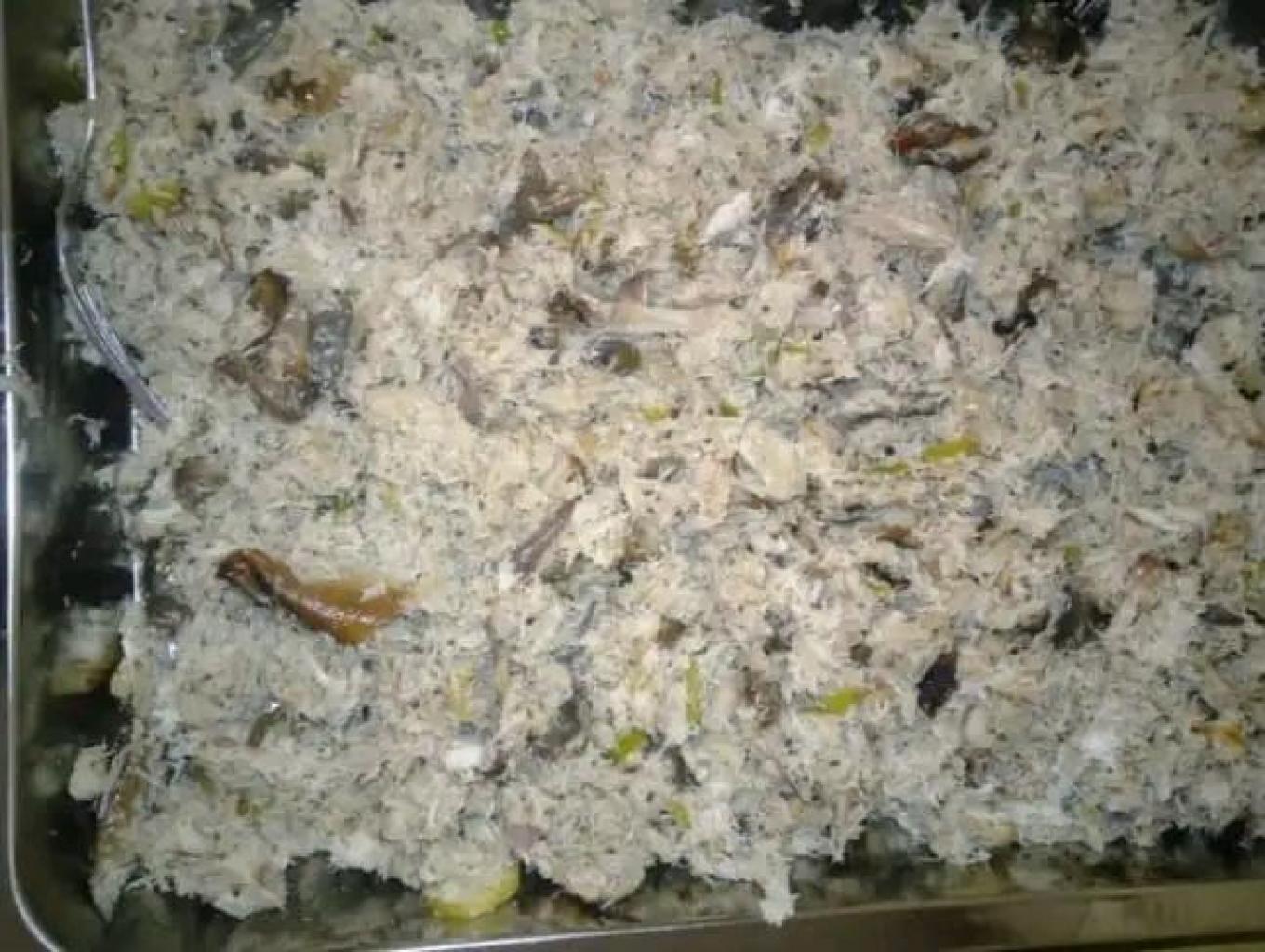 Lawara Ikan Pari