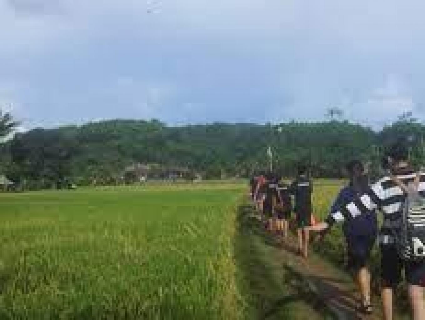 Wisata Agronomi (wisata Pertanian)